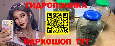 стаф Будённовск