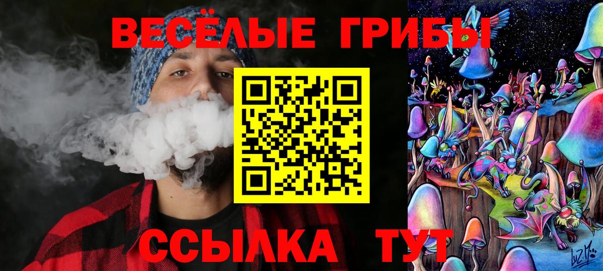 Галлюциногенные грибы ЛСД Гатчина
