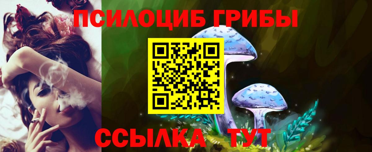 Гатчина  Галлюциногенные грибы MAGIC MUSHROOMS  Псилоцибиновые грибы ЛСД  Вход с VPN 